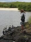 318 Dorothy Photographs Blue-footed Boobies.JPG (71 KB)